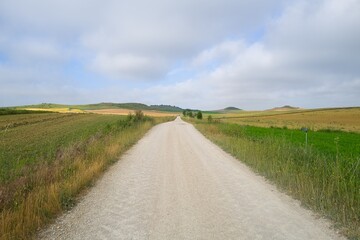자연 경관 초목 농촌 계절 네이처 하늘 구름