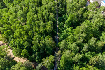 Fototapeta premium A scenic walking trail winds through a lush, verdant forest, offering a tranquil escape. Aerial view of green foliage in peak summer