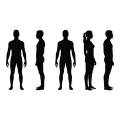 Diverse human silhouettes in full profile and frontal views representing anatomy and body forms silhouette