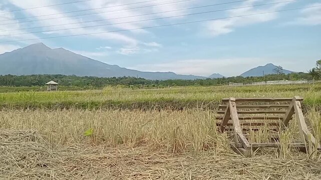 Traditional bamboo rack (dami or kaso) in a harvested rice field with mountain scenery. Used for drying rice grains after harvest, symbolizing rural farming life in Indonesia.