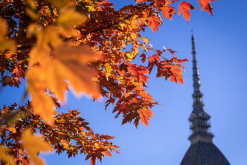The city of Turin in autumn
