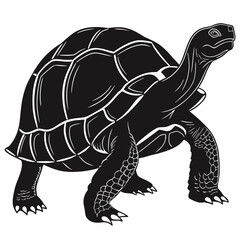 turtle vector illustration