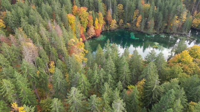 Aerial view of the colorful autumn forest around picturesque lake Badersee near the town of Grainau in Bavaria