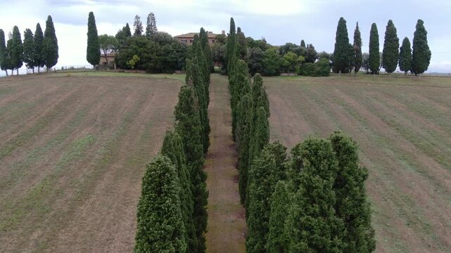 Zoom Out Aerial on Cypresses Outside of Gladiator House. Architecture Dating from Roman Empire. Drone Shot