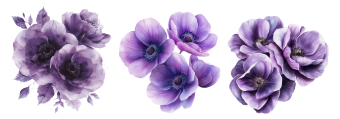 Elegant Purple Floral Arrangement with Anemones and Peonies, PNG bundle collection, Isolated on Transparent Background