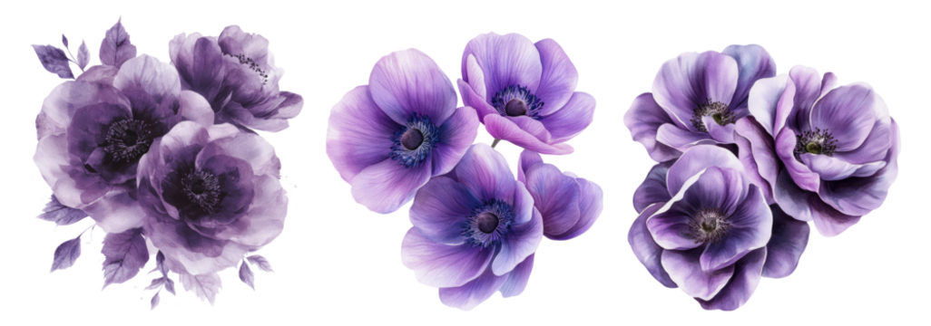 Elegant Purple Floral Arrangement with Anemones and Peonies, PNG bundle collection, Isolated on Transparent Background
