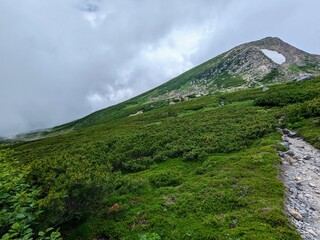 trail leading from seven crater lakes to Onanjimine at the summit of Mt. Hakusan in Hakusan City, Ishikawa Prefecture, Japan in July. © s. nakayama