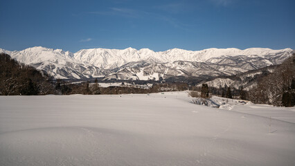 冠雪の北アルプス　山並み　長野県白馬村