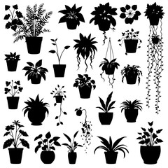 Overhead view of diverse potted plants illustrated as black silhouettes on white. The plants include leafy ferns, succulents, and hanging vines. Each pot shape is unique. The layout is grid-based, fla