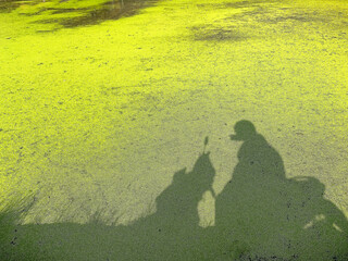 Silhouette Reflection on Green Pond Surface