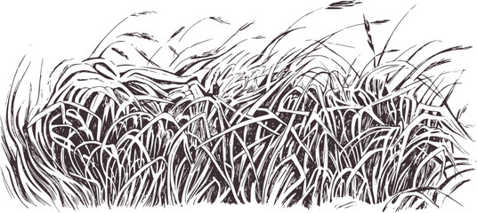 Black and white ink sketch of tall grass nature