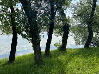 Orešje Lake or artificial lake Oresje (Zagreb County, Croatia) - Oresje-See oder künstlicher See Oresje (Kroatien) - Umjetno jezero Orešje (Sveta Nedelja, Hrvatska)