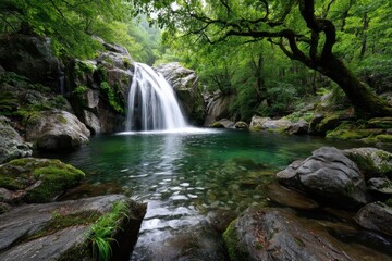 Fototapeta premium Serene Waterfall Cascading into Green Pool in Forest