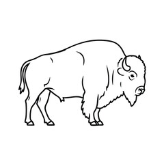 Line drawing of a majestic bison standing on a plain with detailed features and expressive eyes, emphasizing its powerful physique and thick fur