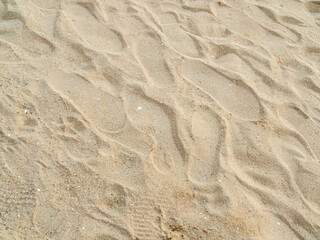 Nature travel background, sand beach close up texture summer desert zen garden coast ocean for...
