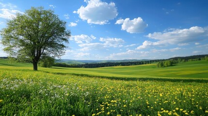 Fototapeta premium A serene landscape with a tree, green fields, and a blue sky with white clouds.