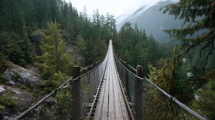 Fototapeta premium Misty Mountain Hanging Bridge
