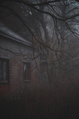Misty morning and old abandoned house. Moody and spooky atmosphere.
