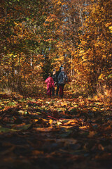 Fototapeta premium family walking in autumn forest