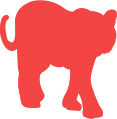 Majestic Tiger Walking