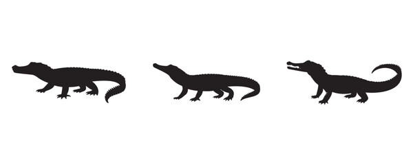 Set of three black crocodile or alligator silhouettes isolated on white background. Vector illustration of reptile animal shapes in different walking and resting poses