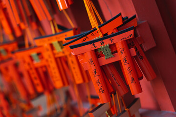 The shot captures a serene Japanese shrine nestled in a lush forest, featuring numerous traditional orange torii gates. 