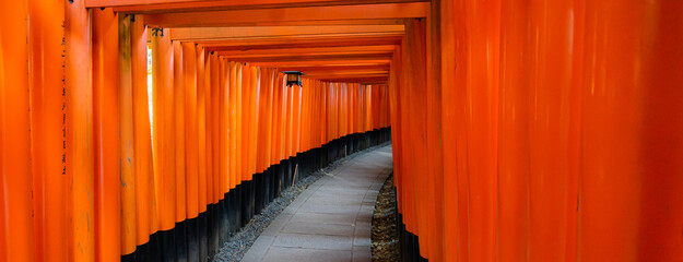 The image shows Torii gates of  Fushimi Inari Shrine or Fushimi Inari Taisha with no people