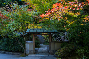 Traditional entry way at Portland Japanese gardens with colorful foliage in autumn time.
