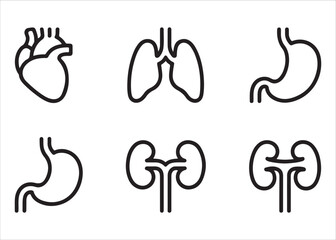 Fototapeta premium Set of six simple outline icons representing human internal organs for medical illustration