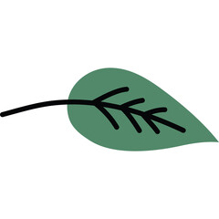 A Simple Green Leaf With Black Stem And Veins On A Transparent Background Isolated Minimalist Nature Element