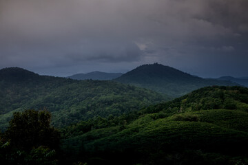 Beautiful nature, mountains and forest. Cloudy sky.