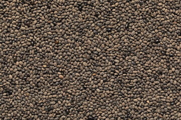 Wild black beans. Medicinal black beans.