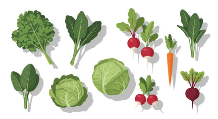 Fresh Vegetables Abundance Showcasing Cabbage, Spinach, Radishes, Carrots, and Greens for Healthy Lifestyle and Culinary Projects Food and Nutrition