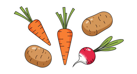 Fresh from the garden, vibrant carrots, potatoes, and radishes offer healthy eating and cooking inspiration, perfect for culinary projects