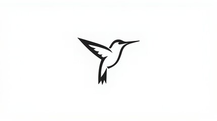 Fototapeta premium logo icon hummingbird