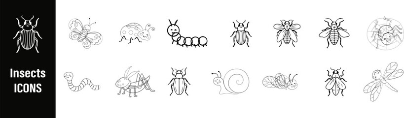 Insect's species icons hand drawn coloring book line art collection vector bundle