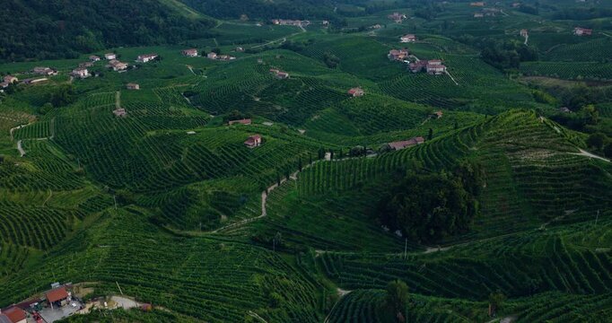Prosecco Hills And Vineyards At Santo Stefano Village In Valdobbiadene, Treviso, Veneto, Italy. Aerial Drone Shot