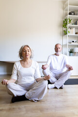 Senior couple meditating together in living room: promoting health and wellness in old age