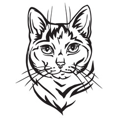 Elegant Black Line Art Cat