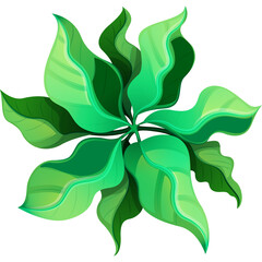 A Top Down View Of A Starburst Pattern Made Of Lush Green Leaves With Subtle Yellow Tints And A Transparent Background Creating A Natural Organic Design