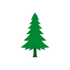 Fototapeta premium A green pine tree on transparent background