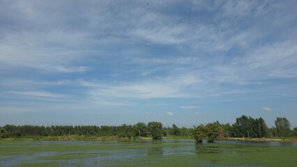 Calm Waters Under Blue Sky with Lush Green Trees Surrounding Serene Landscape Scene