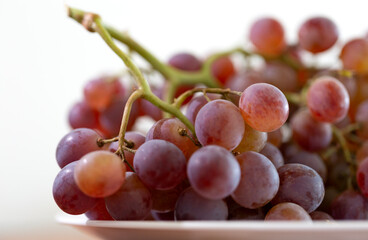 A bunch of purple grapes on a white plate