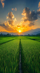 The sun sets behind distant mountains, shining over a large lush green field