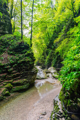 Course of the Kozjak River in the idyllic forest, a common hiking trail in the Julian Alps, Slovenia.