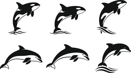 Orca and dolphin silhouettes, black and white vector illustration, leaping marine animals, water splash motion, ocean wildlife design, aquatic creature icons