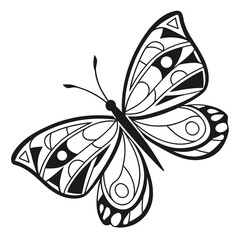 butterfly on white background