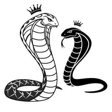 vector illustration of cartoon snake