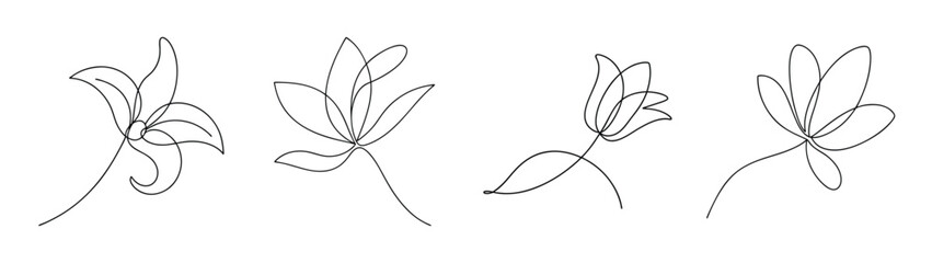 Four abstract line art sketches of delicate yucca flowers with detailed petal structures