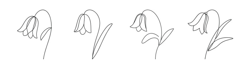 Delicate bluebell flower sketch line art botanical study detail